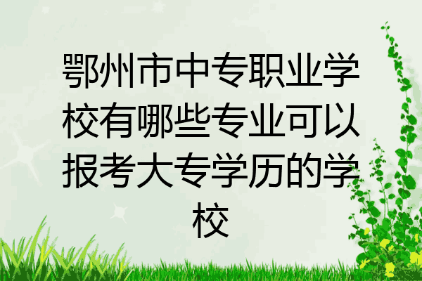 鄂州市中专职业学校有哪些专业可以报考大专学历的学校