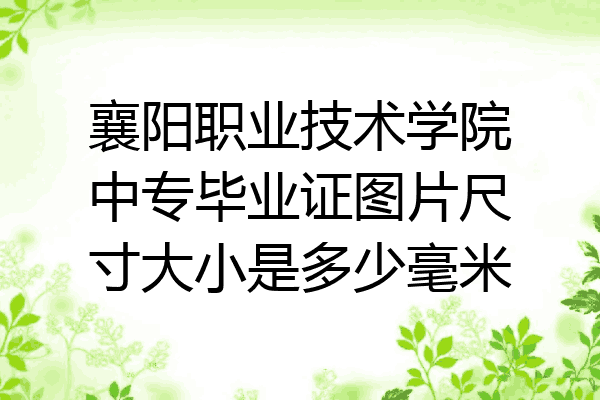 襄阳职业技术学院中专毕业证图片尺寸大小是多少毫米