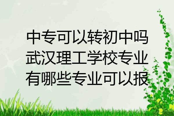 中专可以转初中吗武汉理工学校专业有哪些专业可以报