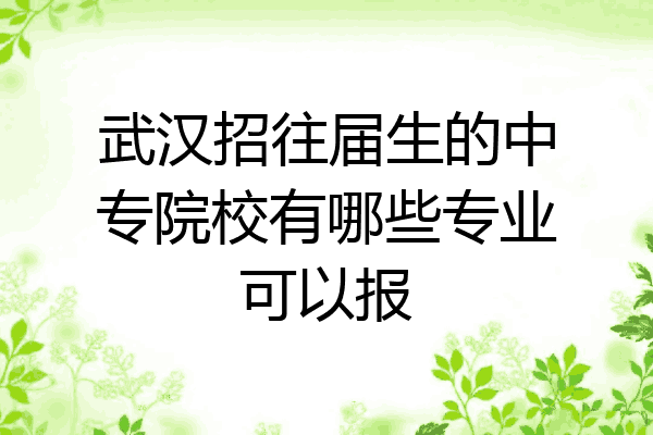 武汉招往届生的中专院校有哪些专业可以报
