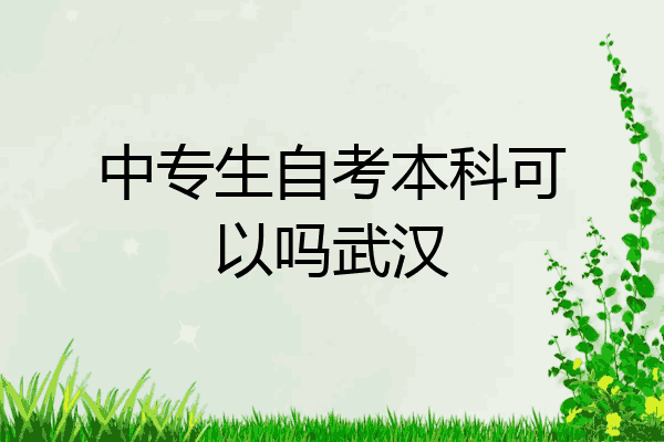 中专生自考本科可以吗武汉