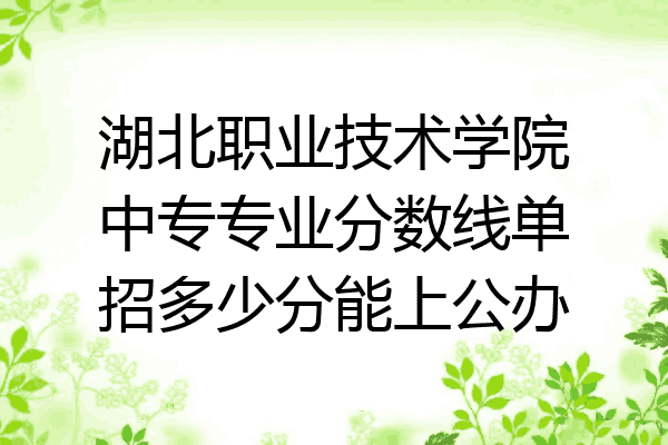 湖北职业技术学院中专专业分数线单招多少分能上公办