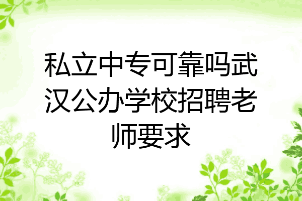 私立中专可靠吗武汉公办学校招聘老师要求