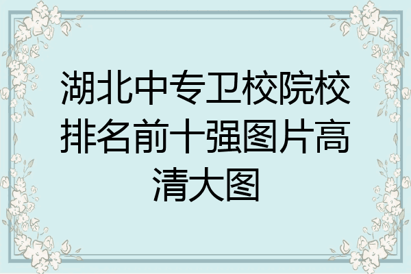 湖北中专卫校院校排名前十强图片高清大图