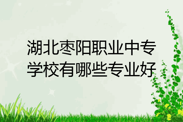 湖北枣阳职业中专学校有哪些专业好