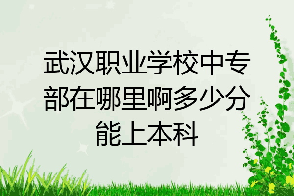 武汉职业学校中专部在哪里啊多少分能上本科