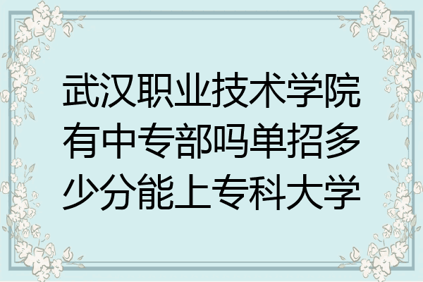 武汉职业技术学院有中专部吗单招多少分能上专科大学