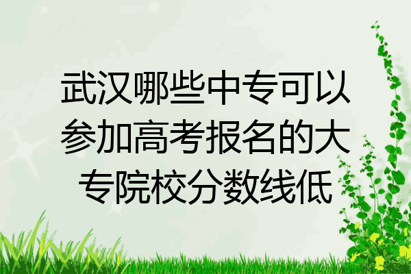 武汉哪些中专可以参加高考报名的大专院校分数线低