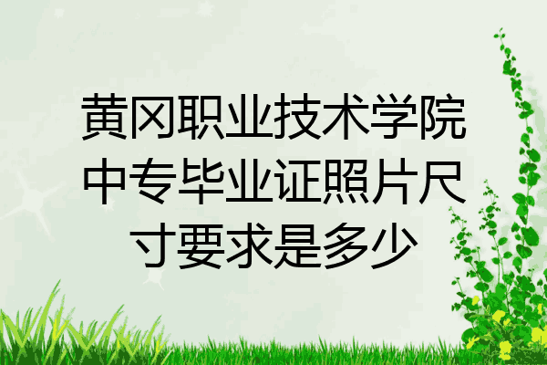 黄冈职业技术学院中专毕业证照片尺寸要求是多少