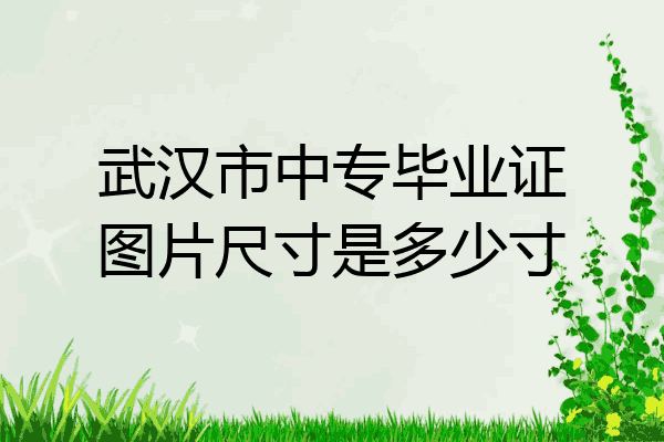 武汉市中专毕业证图片尺寸是多少寸