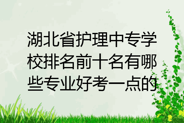 湖北省护理中专学校排名前十名有哪些专业好考一点的