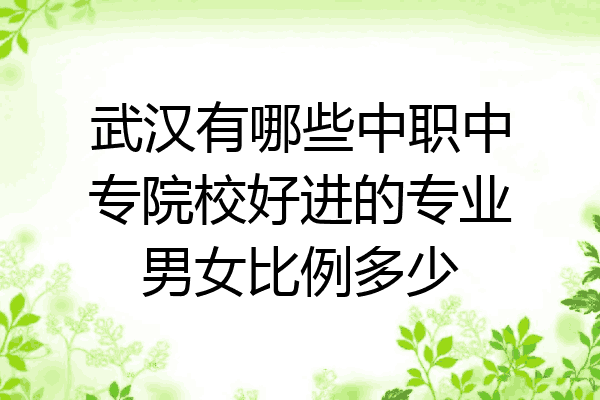 武汉有哪些中职中专院校好进的专业男女比例多少