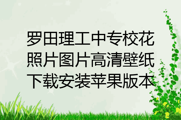 罗田理工中专校花照片图片高清壁纸下载安装苹果版本