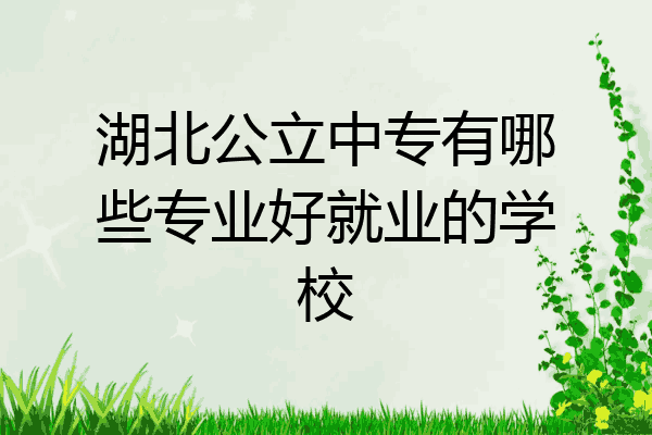 湖北公立中专有哪些专业好就业的学校