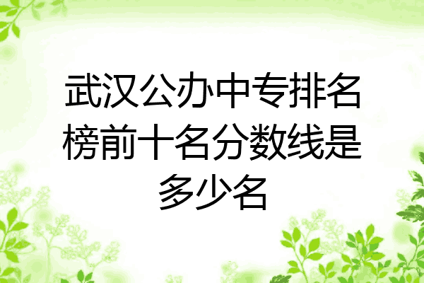 武汉公办中专排名榜前十名分数线是多少名