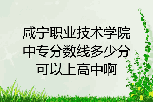 咸宁职业技术学院中专分数线多少分可以上高中啊