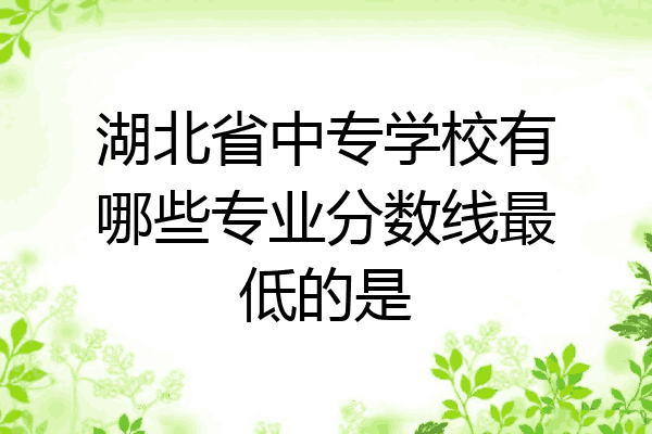 湖北省中专学校有哪些专业分数线最低的是