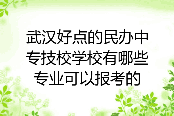 武汉好点的民办中专技校学校有哪些专业可以报考的