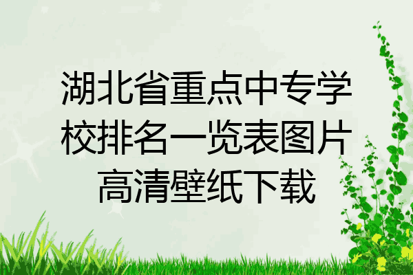 湖北省重点中专学校排名一览表图片高清壁纸下载