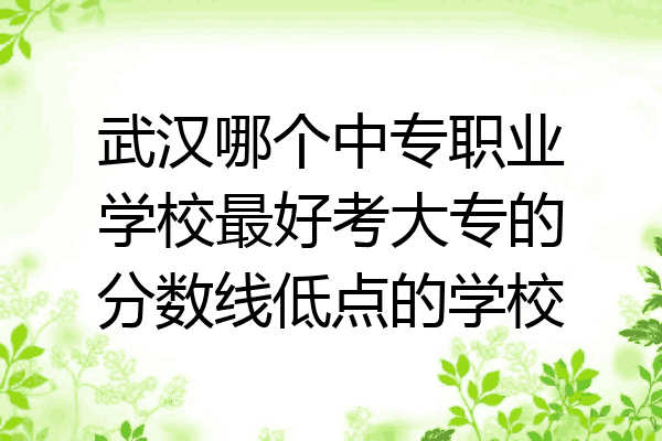 武汉哪个中专职业学校最好考大专的分数线低点的学校