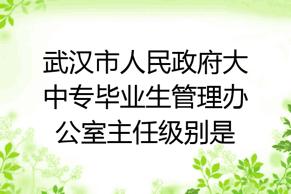武汉市人民政府大中专毕业生管理办公室主任级别是