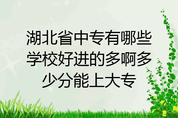 湖北省中专有哪些学校好进的多啊多少分能上大专