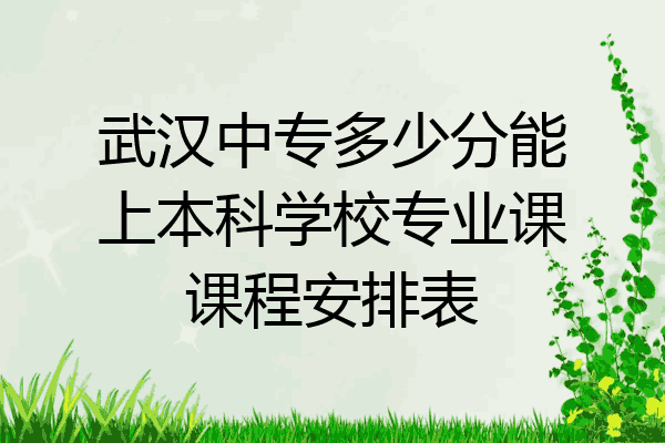 武汉中专多少分能上本科学校专业课课程安排表