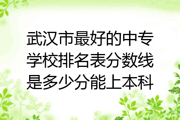 武汉市最好的中专学校排名表分数线是多少分能上本科