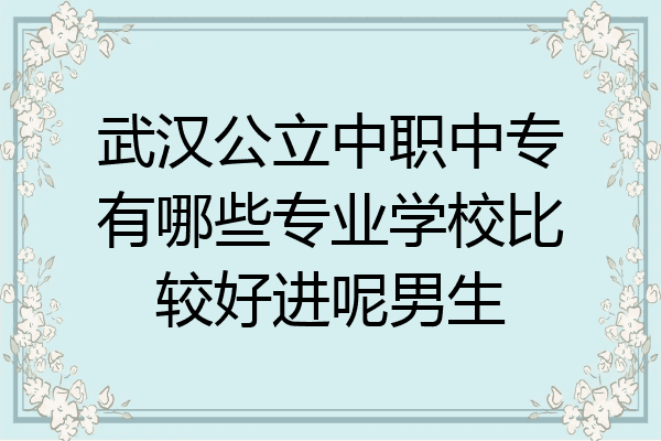 武汉公立中职中专有哪些专业学校比较好进呢男生