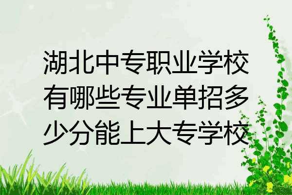 湖北中专职业学校有哪些专业单招多少分能上大专学校