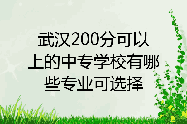 武汉200分可以上的中专学校有哪些专业可选择
