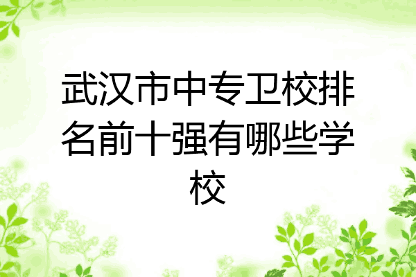 武汉市中专卫校排名前十强有哪些学校