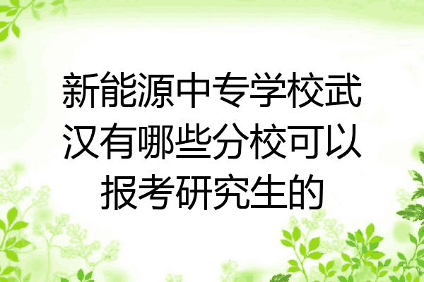 新能源中专学校武汉有哪些分校可以报考研究生的