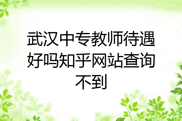 武汉中专教师待遇好吗知乎网站查询不到