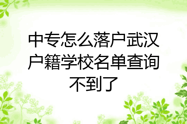 中专怎么落户武汉户籍学校名单查询不到了