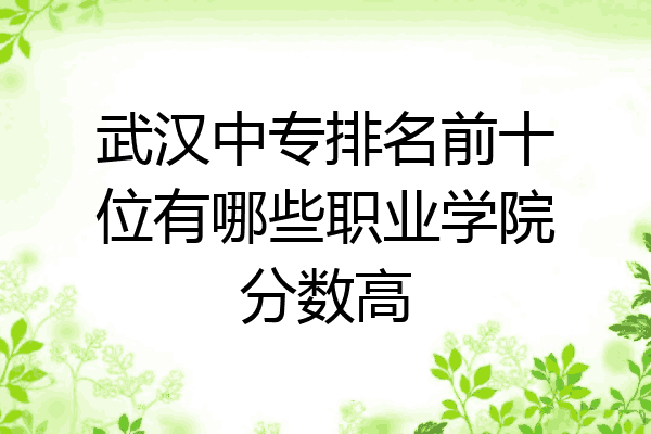武汉中专排名前十位有哪些职业学院分数高