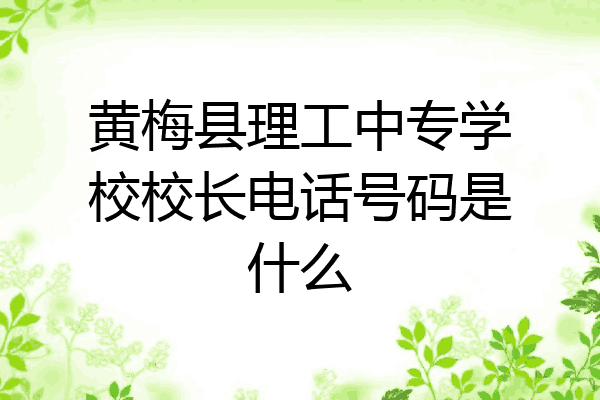 黄梅县理工中专学校校长电话号码是什么