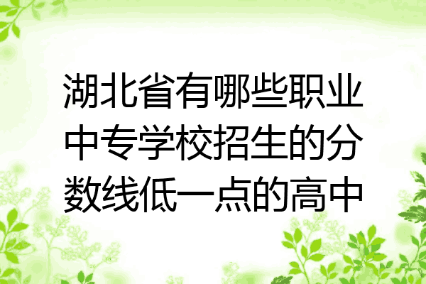 湖北省有哪些职业中专学校招生的分数线低一点的高中