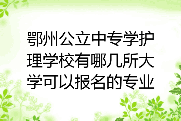 鄂州公立中专学护理学校有哪几所大学可以报名的专业