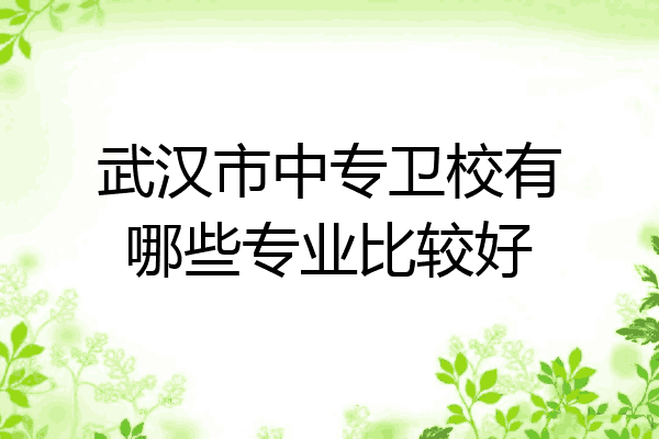 武汉市中专卫校有哪些专业比较好