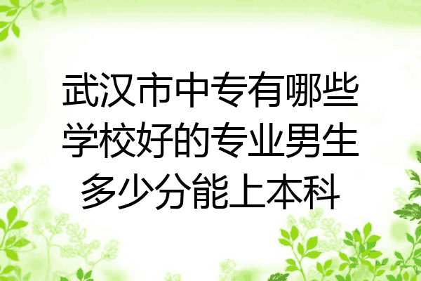 武汉市中专有哪些学校好的专业男生多少分能上本科