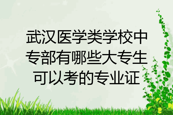 武汉医学类学校中专部有哪些大专生可以考的专业证