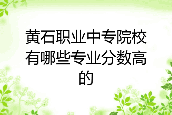 黄石职业中专院校有哪些专业分数高的