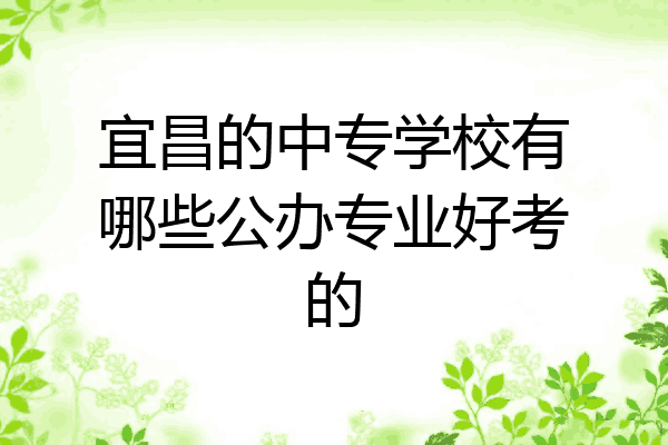 宜昌的中专学校有哪些公办专业好考的