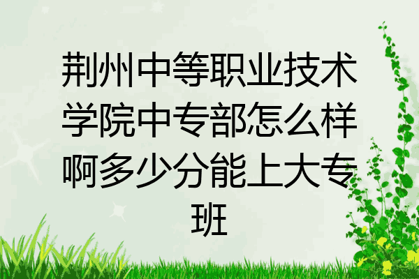 荆州中等职业技术学院中专部怎么样啊多少分能上大专班