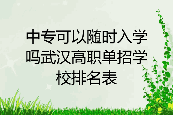 中专可以随时入学吗武汉高职单招学校排名表