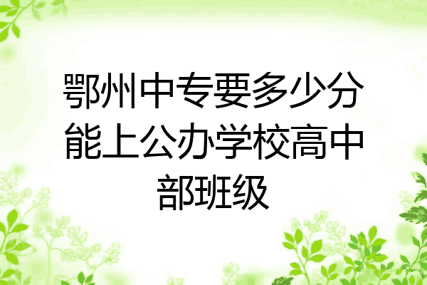 鄂州中专要多少分能上公办学校高中部班级