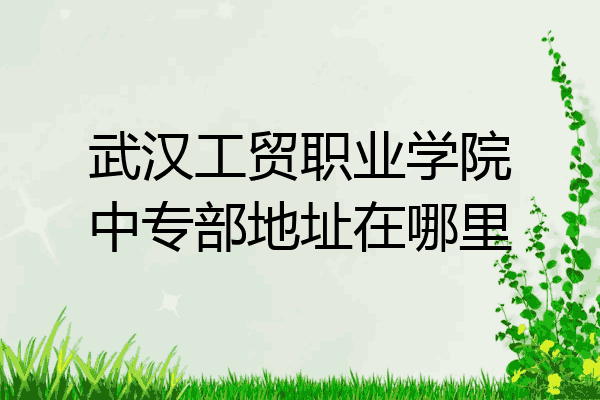 武汉工贸职业学院中专部地址在哪里