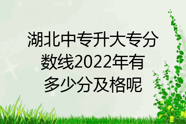 湖北中专升大专分数线2022年有多少分及格呢