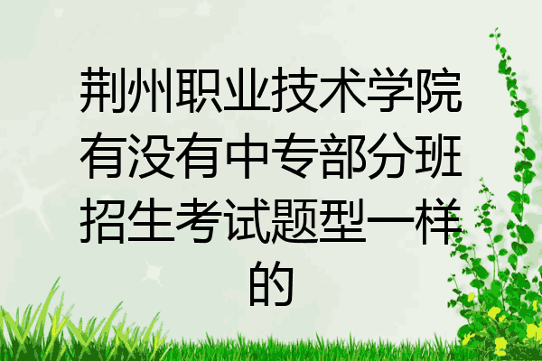 荆州职业技术学院有没有中专部分班招生考试题型一样的
